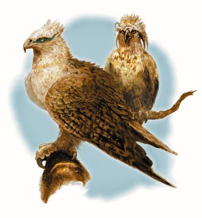 magebred_eagles-3.5e.jpg magebred_eagles-3.5e.jpg