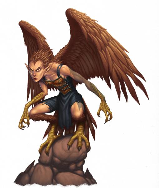 harpy_by_daveallsop.jpg harpy_by_daveallsop.jpg