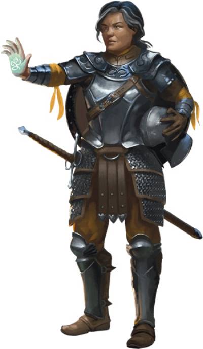 Une garde Garda avec la marque de la Sentinelle