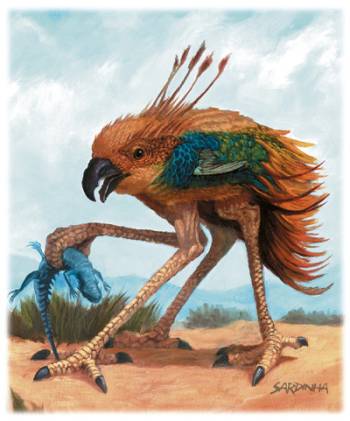 Un achaierai Un achaierai