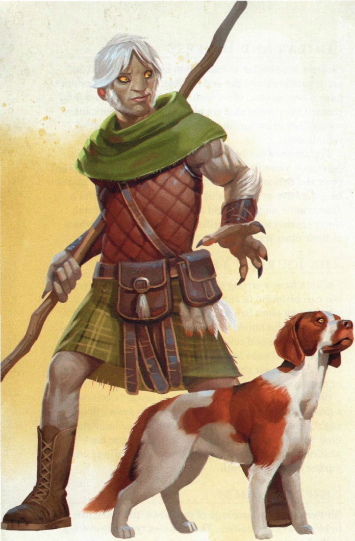 Un féral canin de type traqueur Un féral canin de type traqueur